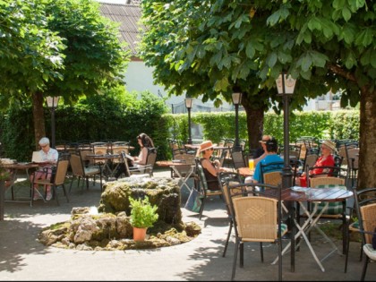 Foto:  Gr&amp;uuml;ner Baum