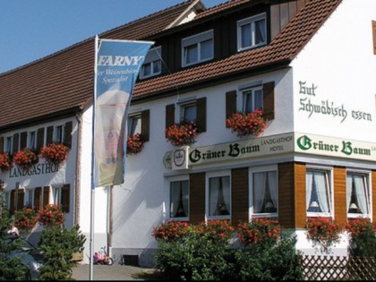 Foto:  Gr&amp;uuml;ner Baum